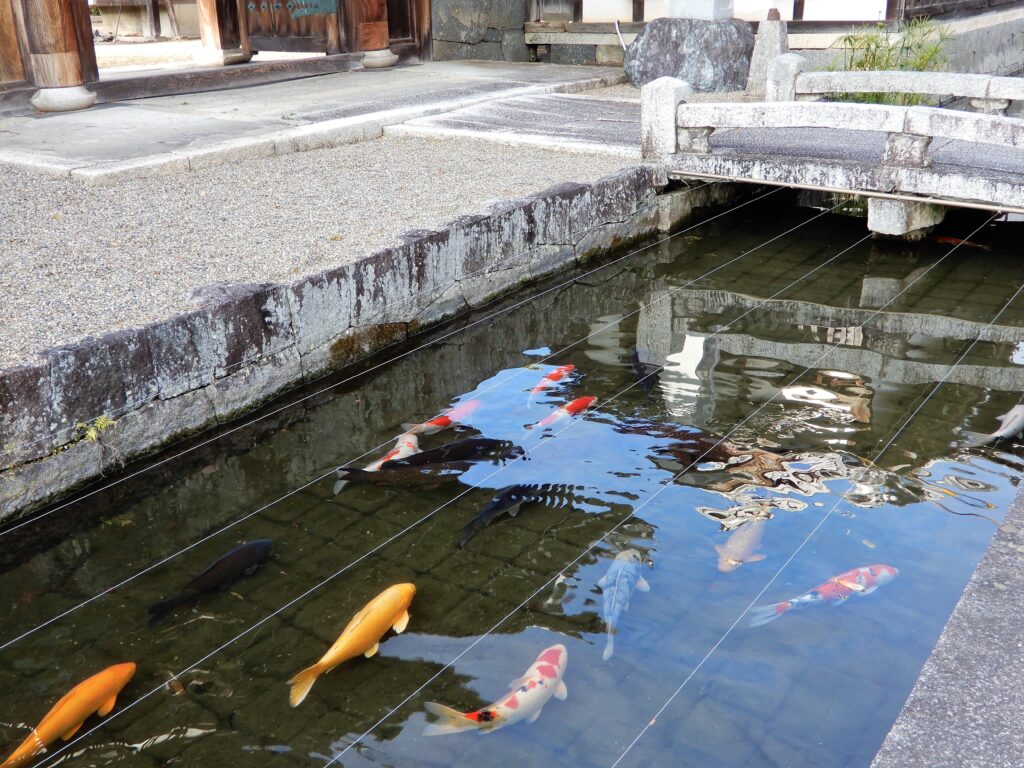 Canal du quartier de Gokasho