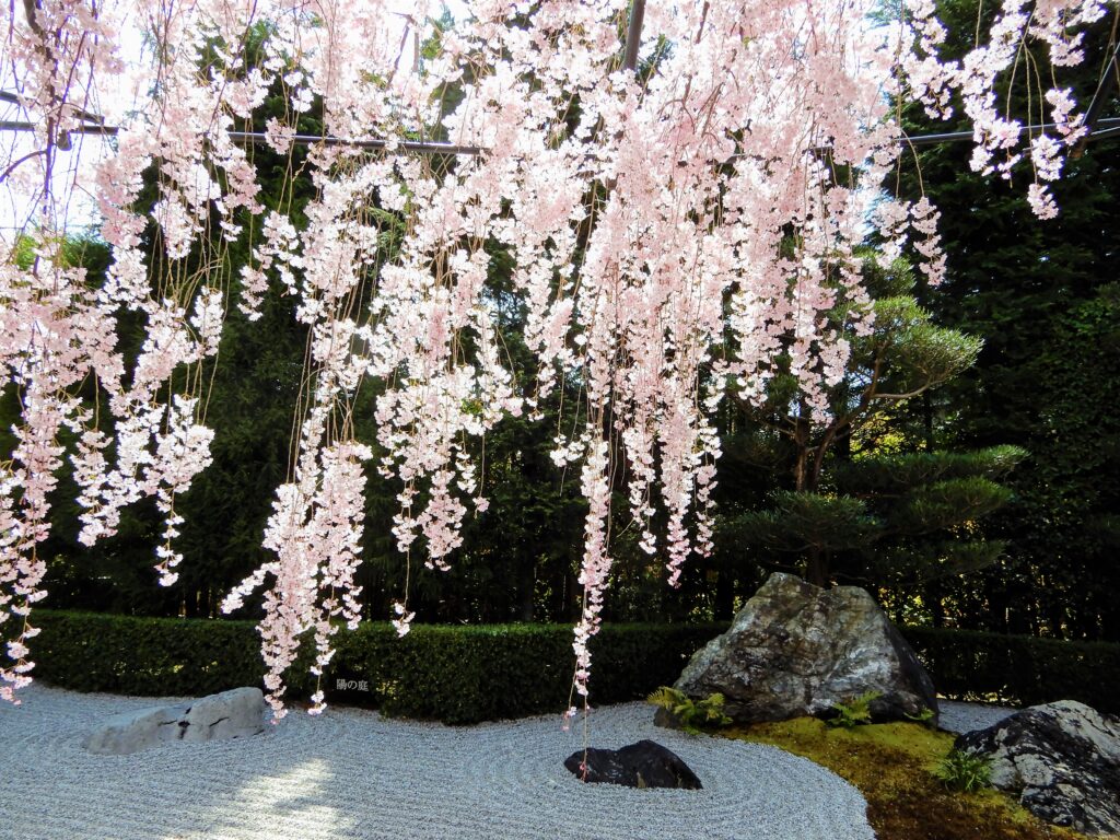 Jardin de pierres du temple Taizo-in