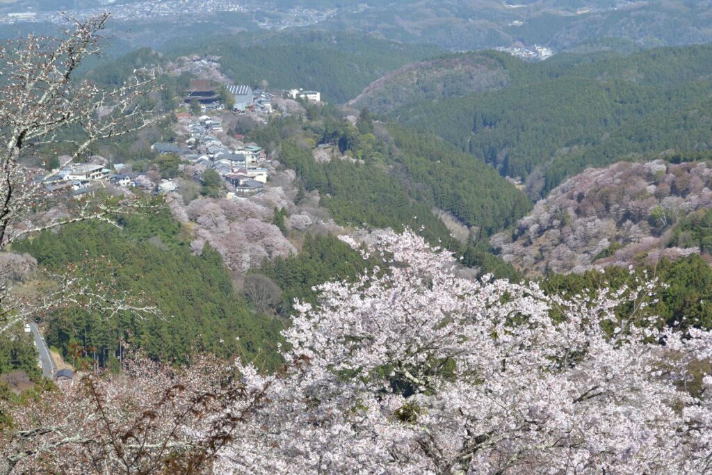 Mont Yoshino au temps des cerisiers