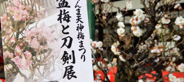 Exposition de bonsaïs de prunier et de sabres japonais