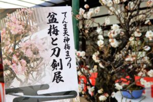L’exposition de bonsaïs de prunier et de sabres japonais à Osaka Tenman-gu