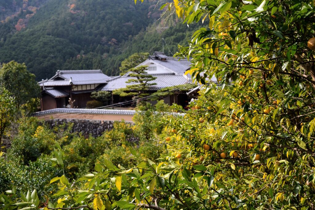 Village de Mizuo