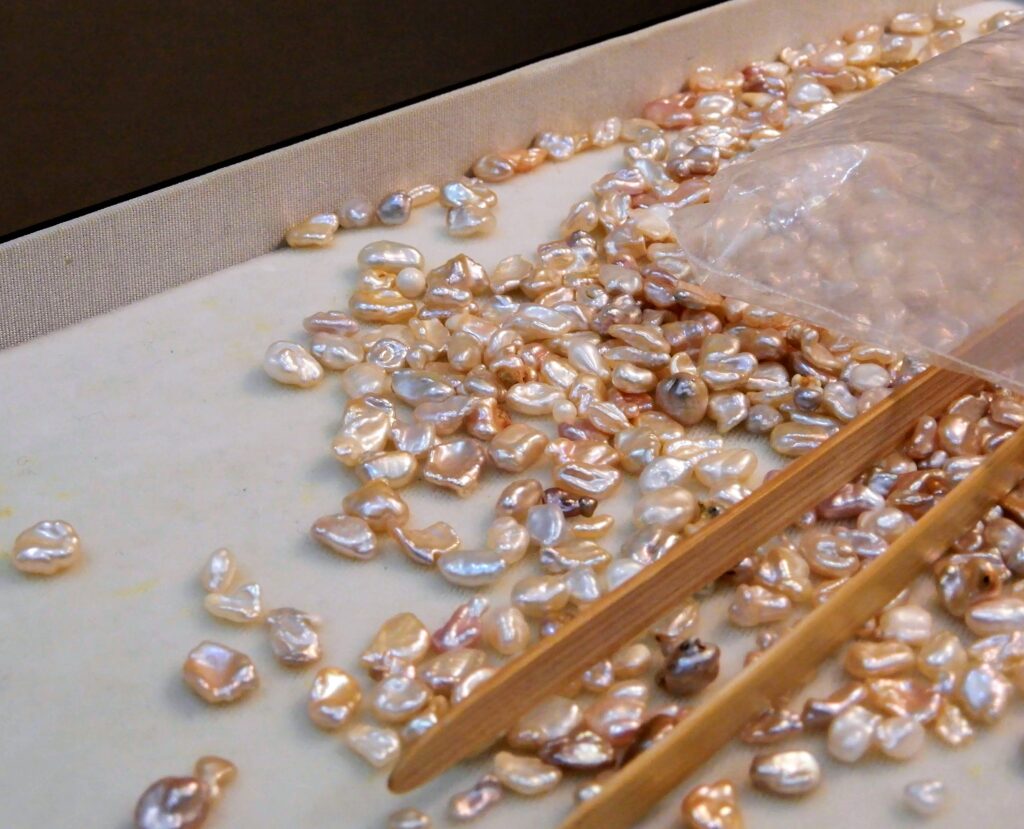 Perles du lac Biwa