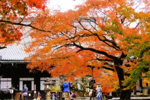 Où admirer les couleurs de l’automne à Kyoto