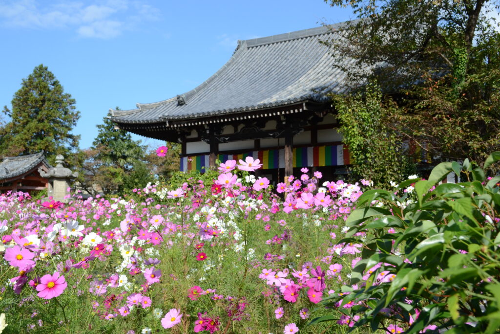 Temple Hannya-ji
