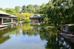 Jardin japonais