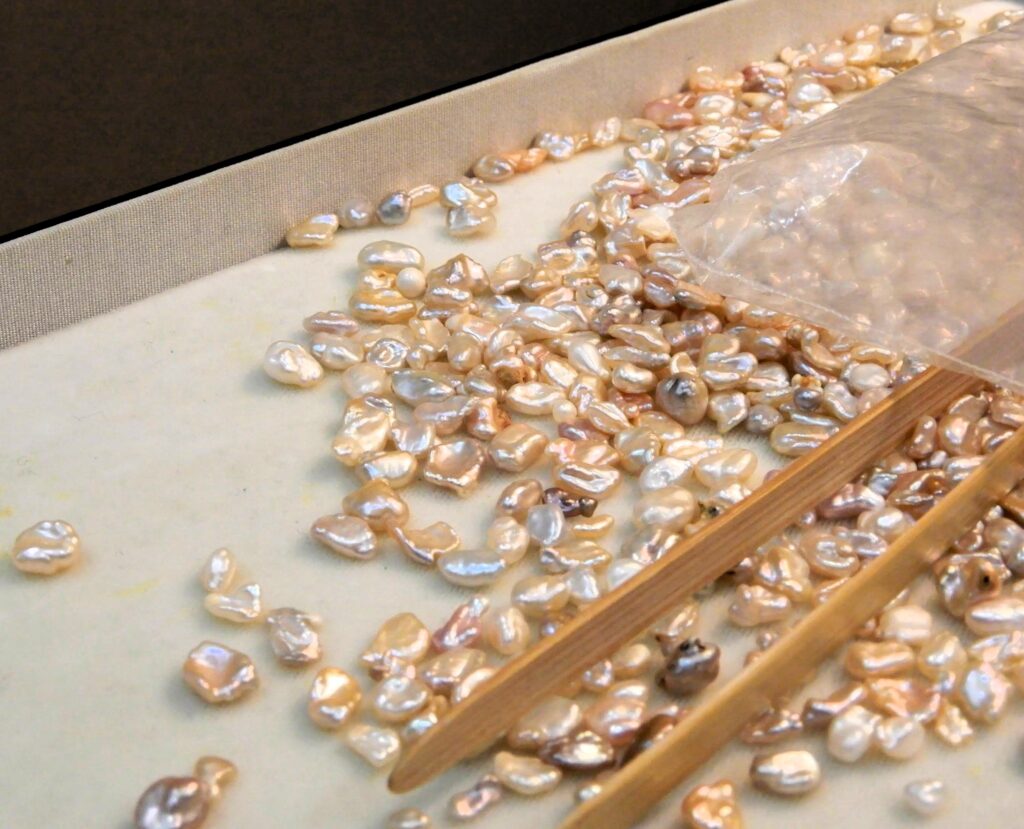 Perles du lac Biwa