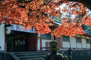 Au sanctuaire Tamukeyama-hachimangu