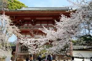Temple Daigo-ji