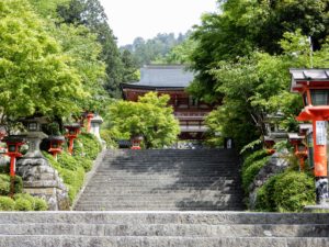 Temple Kurama-dera