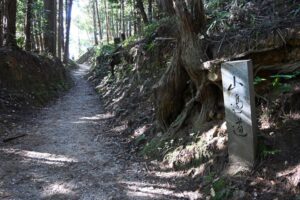 Une randonnée pour se ressourcer sur le chemin de Yamanobe-no-Michi