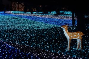 L’illumination hivernale à Nara 2024