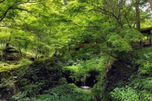 Une petite escapade au village d’Ohara