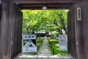 Un moment de zénitude au temple Oubai-in, Kyoto