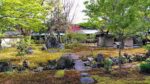 Jardin des mousses
