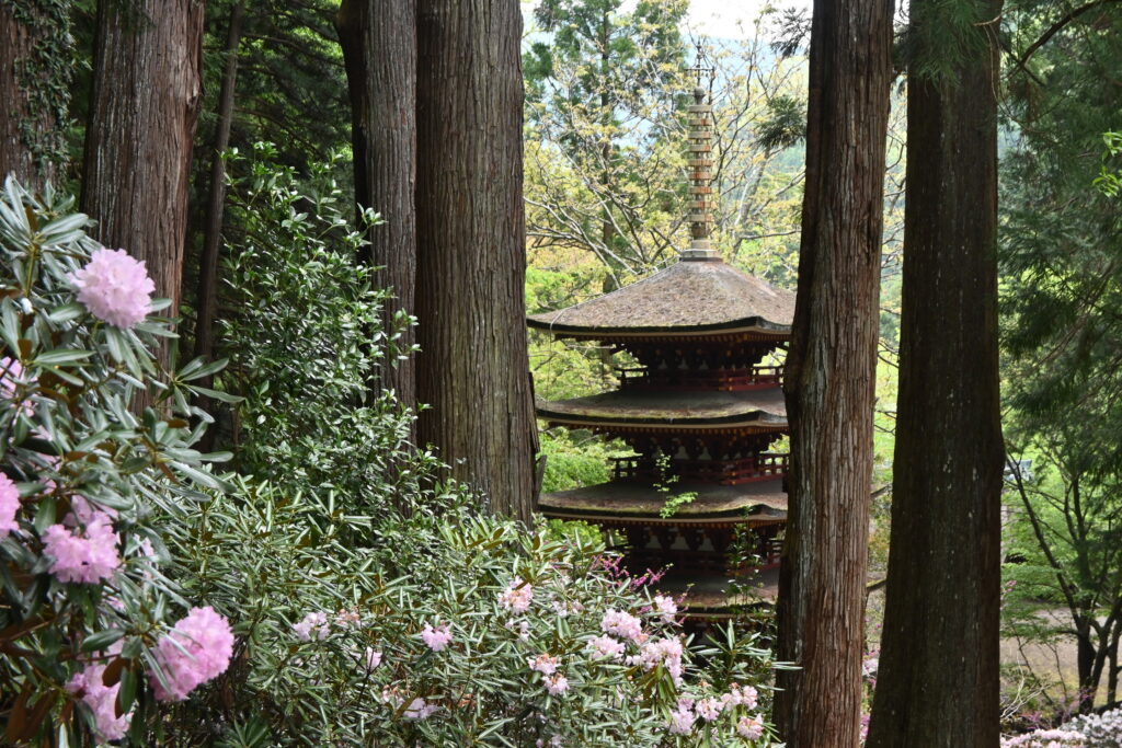 Pagode dans les cèdres
