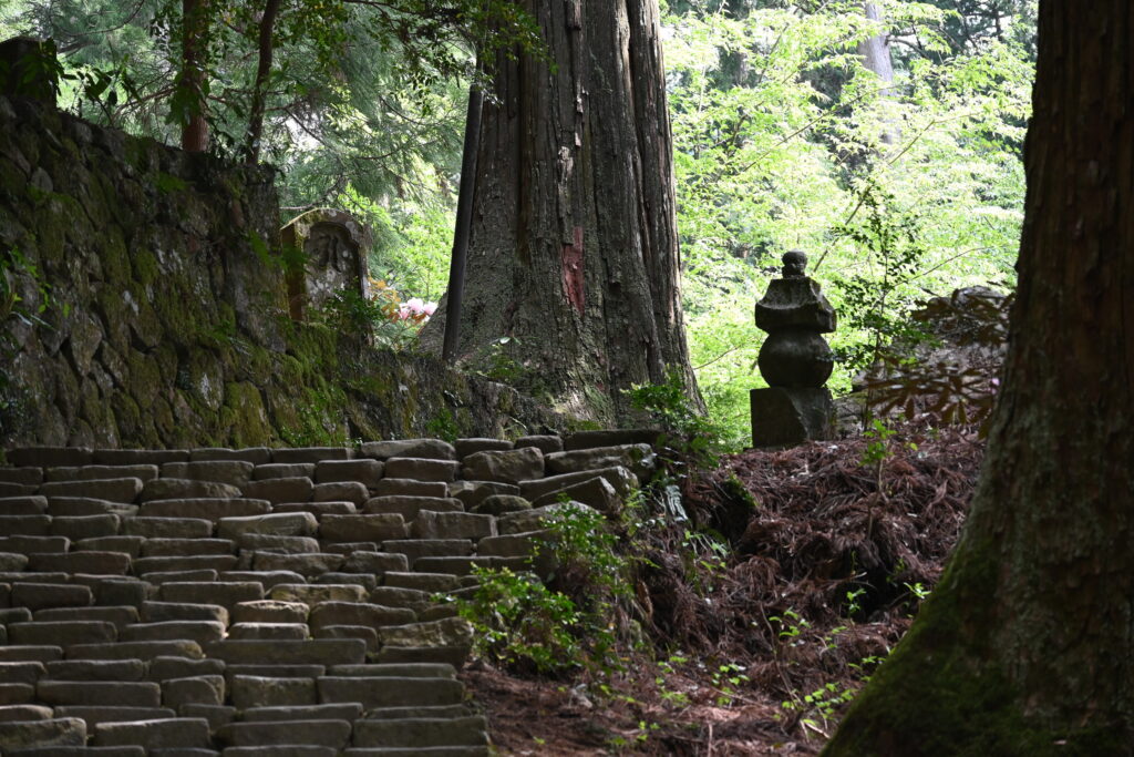 Chemin menant à Oku-no-in
