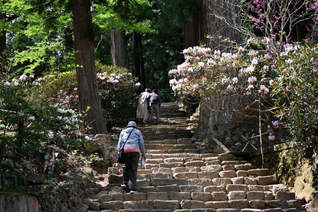 Mont Koya pour femmes
