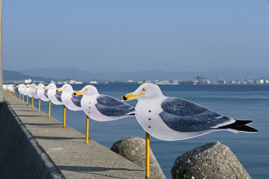 Sea Gulls Parking Lot