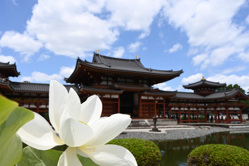 Au temple Byodo-in