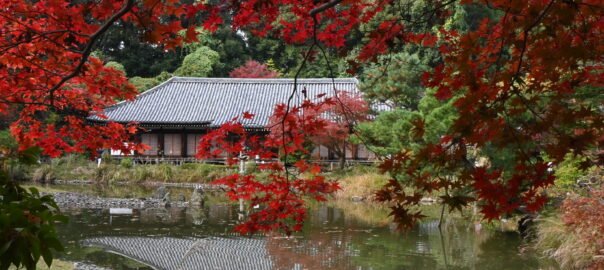 Temple Joruri-ji