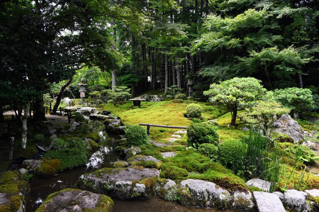 Jardin de promenade