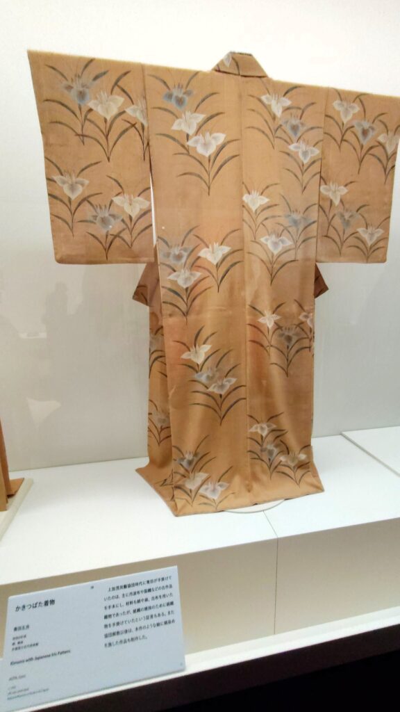 Kimono à motifs d'iris japonais