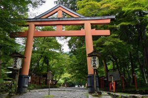 Torii
