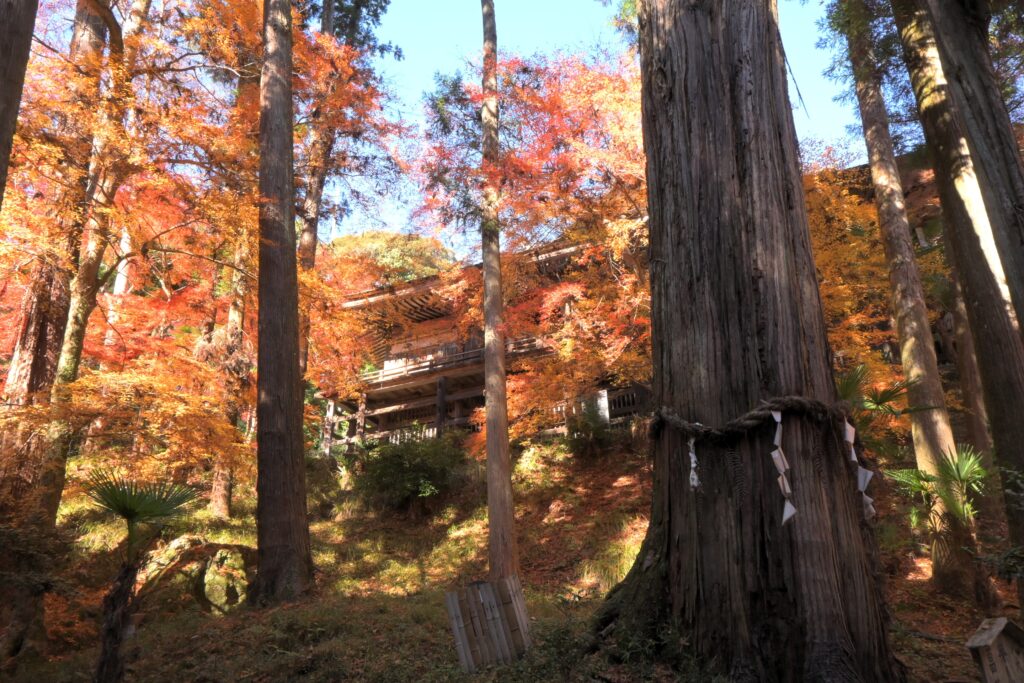 Temple Ishiyama-dera