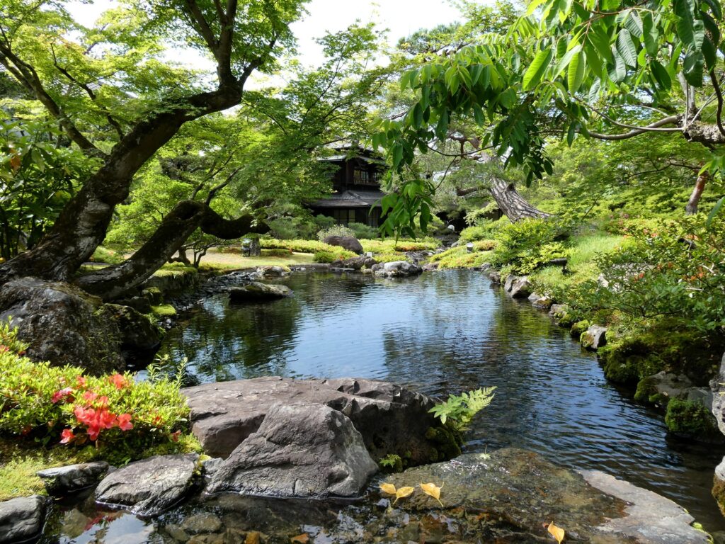 Jardin de circuit