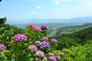 Le temple Yoshimine-dera, la pépite aux hortensias de Kyoto