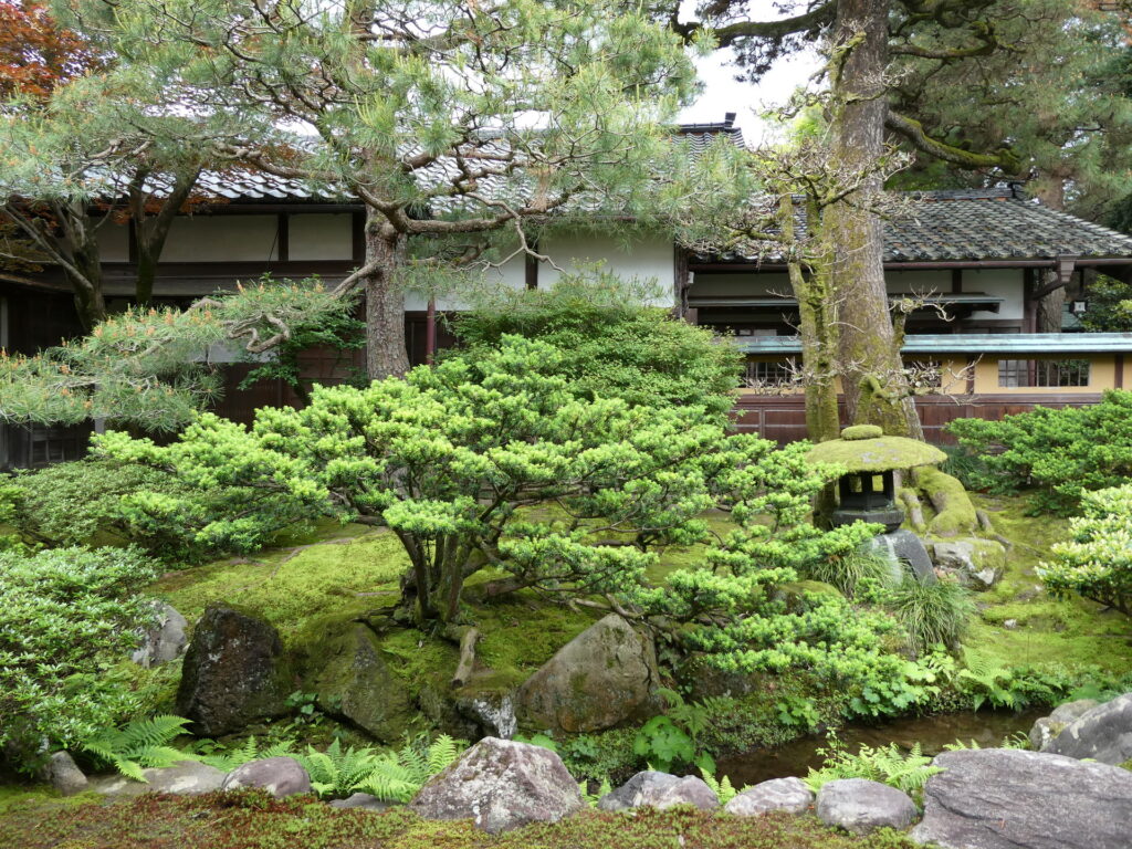 Jardin Omoto