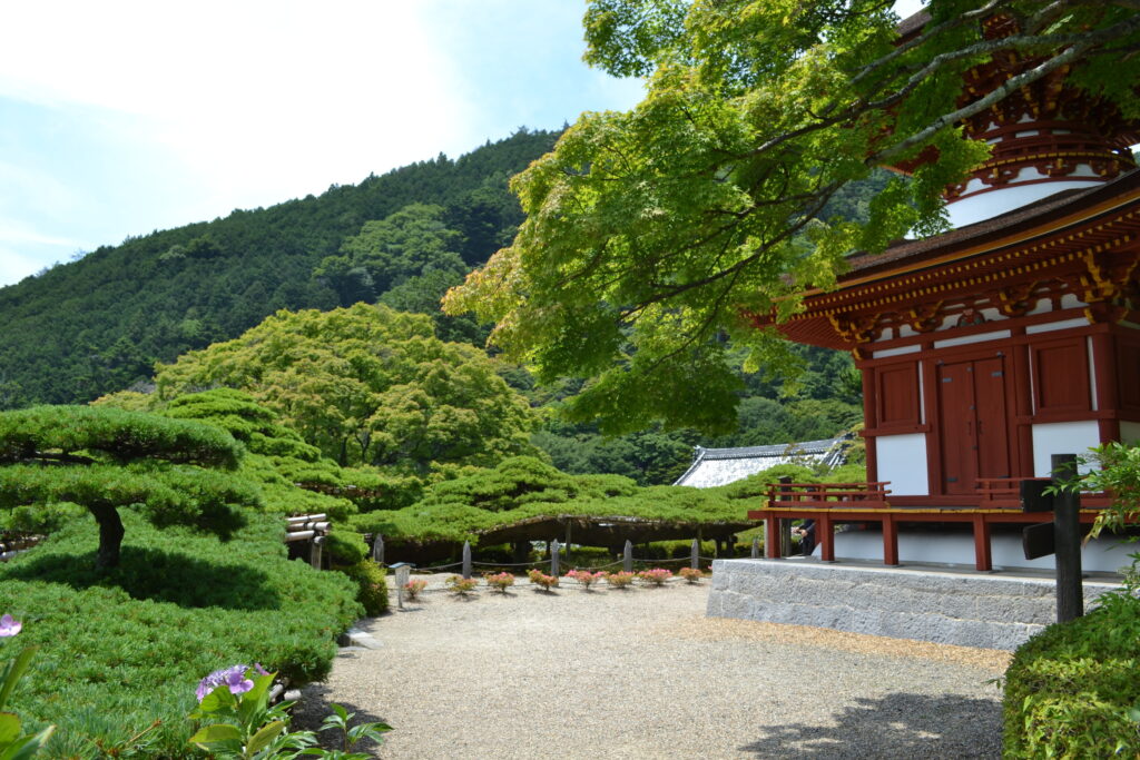 Pin Yuryu-no-matsu