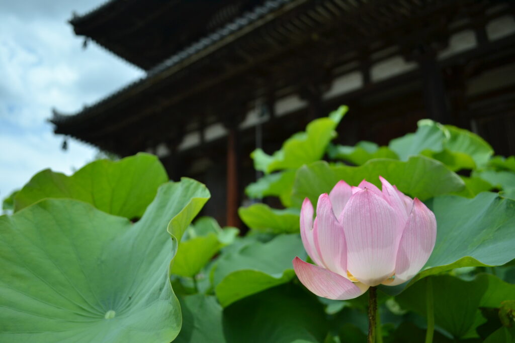 Au temple Kiko-ji