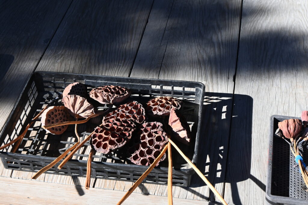 Forme de nid d'abeilles