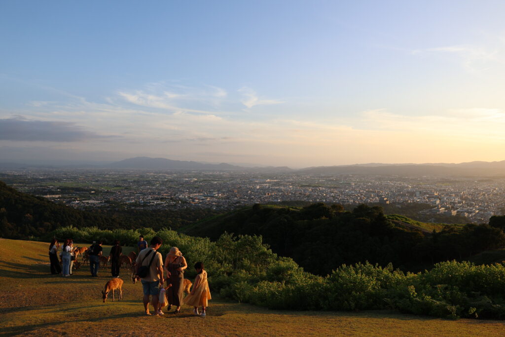 Au sommet du mont Wakakusa